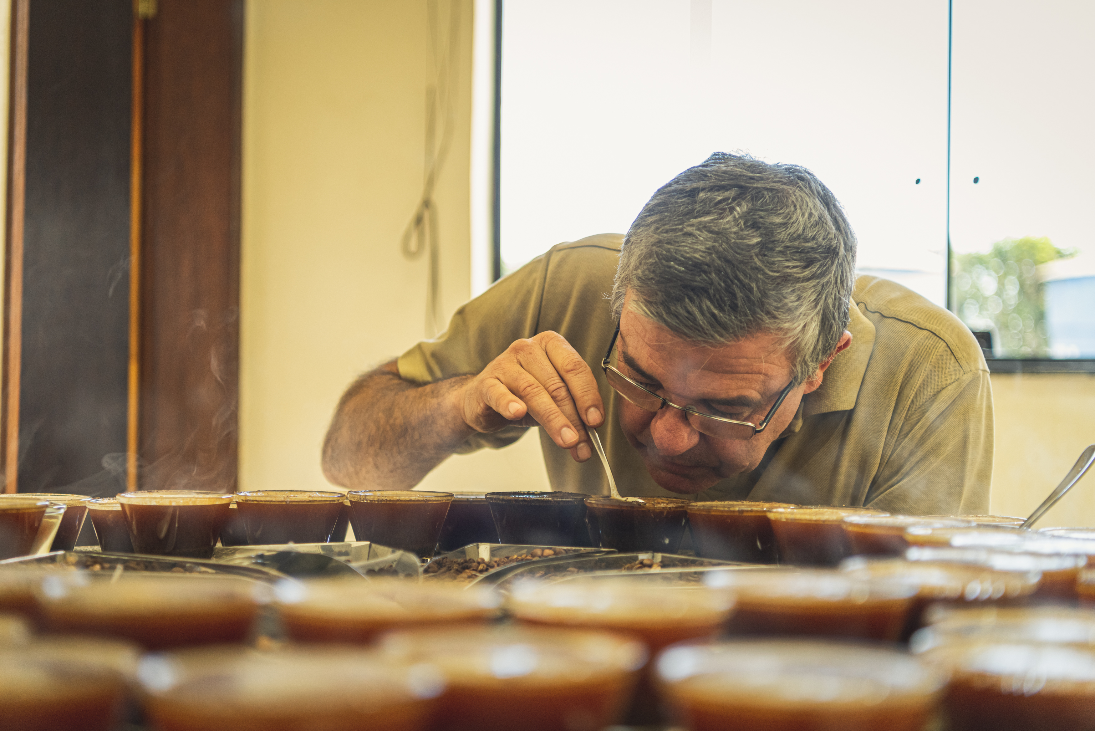 Brazilian coffee will keep tasty despite drought & frost. Here is why